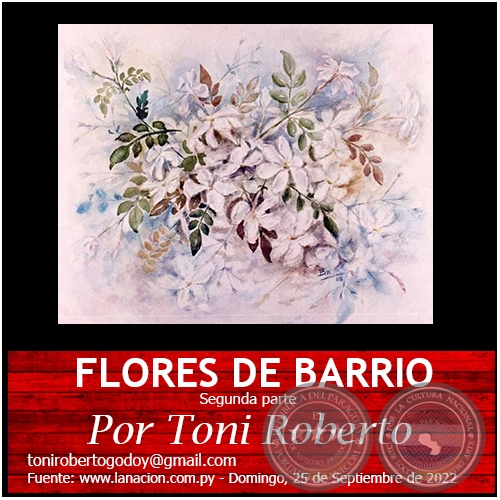 FLORES DE BARRIO  (Segunda parte) - Por Toni Roberto - Domingo, 25 de Septiembre de 2022